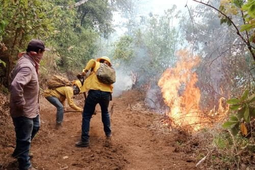 Incrementan incendios forestales en el Estado de México a 20